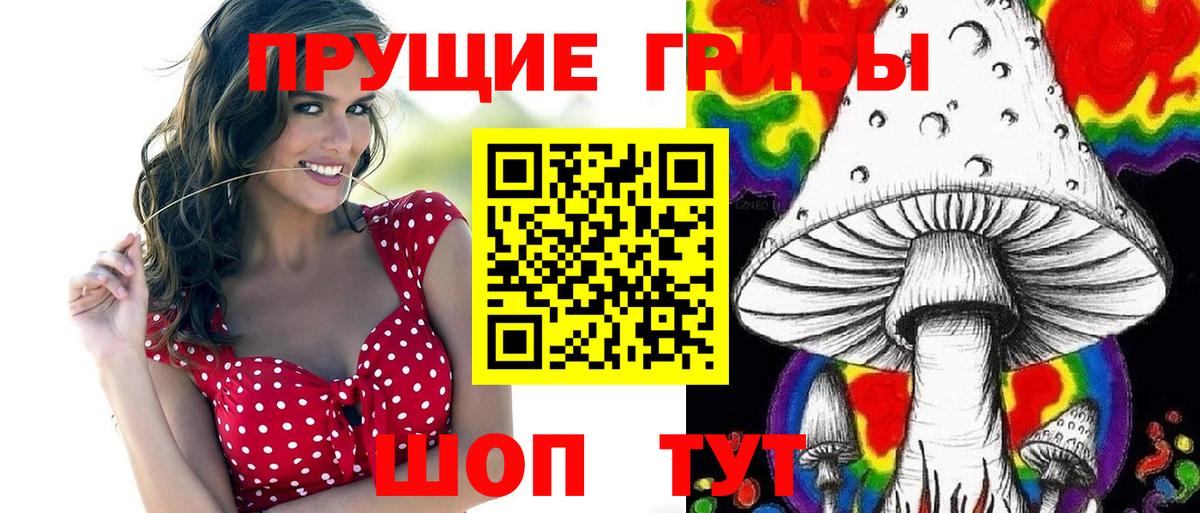 Йошкар-Ола  Псилоцибиновые грибы GOLDEN TEACHER  Вход с VPN 